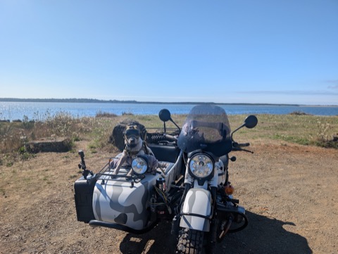 Netarts Bay, goggles on, ready to launch.
