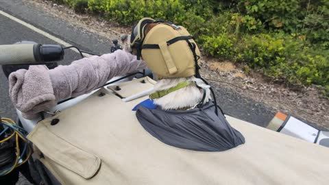 Road test on a quiet backroad, copilot snug in the hatch. Zero complaints from the passenger seat.