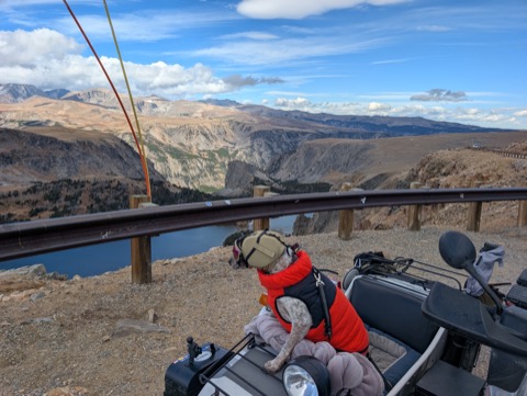 Puffy jacket on, taking in the Beartooth Highway switchbacks like he paid for the view.