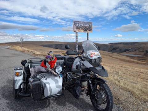 Top of Beartooth Pass. Kyro claimed Montana from the sidecar.