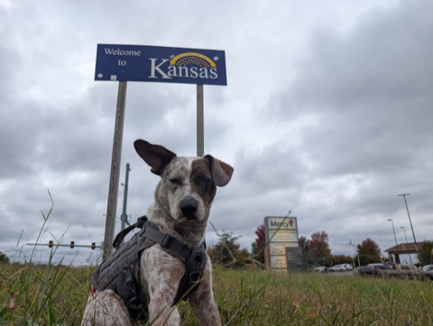 Kansas checked off, with the side-eye of a dog who's seen many state signs by now.