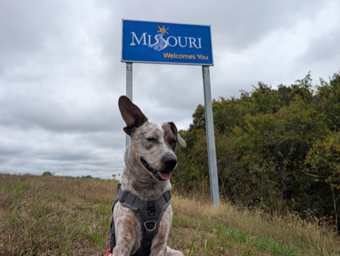 Missouri welcomes you. Kyro accepted the welcome, briefly.