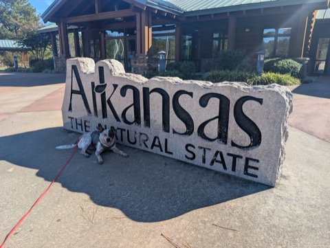 Arkansas, The Natural State. Kyro, a natural. Full sprawl at the welcome center.