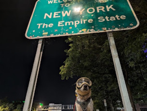 Welcomed to the Empire State in full goggle regalia.