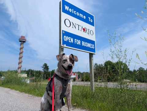 Welcome to Ontario. Kyro is open for business.